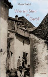Cover von Wie ein Stein im Geröll