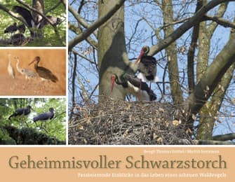 Cover von Geheimnisvoller Schwarzstorch