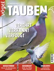 Cover von Vögel Sonderheft: Tauben
