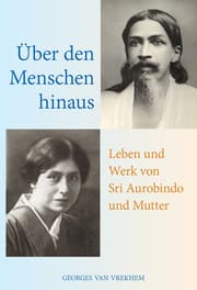 Cover von Über den Menschen hinaus