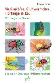Cover von Marienkäfer, Glühwürmchen, Florfliege & Co.