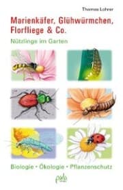 Cover von Marienkäfer, Glühwürmchen, Florfliege & Co.