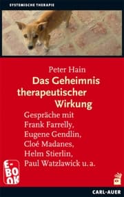 Cover von Das Geheimnis therapeutischer Wirkung