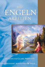 Cover von Mit Engeln arbeiten