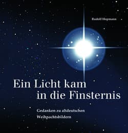 Cover von Ein Licht kam in die Finsternis