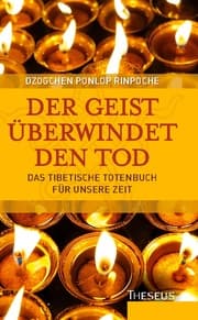 Cover von Der Geist überwindet den Tod