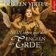 Cover von Nein sagen mit den Engeln der Erde