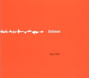 Cover von brinnen