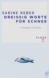 Cover von Dreißig Worte für Schnee