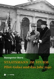 Cover von Staatsmann im Sturm