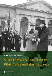 Cover von Staatsmann im Sturm