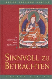 Cover von Sinnvoll zu betrachten