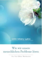 Cover von Wie wir unsere Probleme lösen