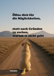 Cover von Öffne dich für die Möglichkeiten, statt nach Gründen zu suchen, warum es nicht geht