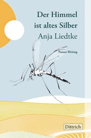 Cover von Der Himmel ist altes Silber