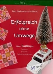 Cover von Dein Weihnachts Crashkurs - Erfolgreich ohne Umwege