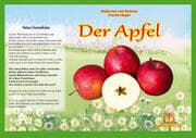 Cover von Naturkamishibai - Der Apfel