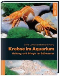Cover von Krebse im Aquarium