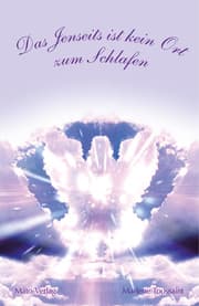 Cover von Das Jenseits ist kein Ort zum Schlafen