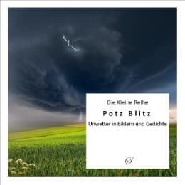 Cover von Die Kleine Reihe Bd. 27: Potz Blitz