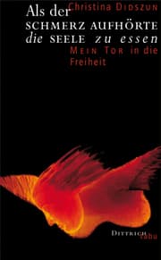 Cover von Als der Schmerz aufhörte, die Seele zu essen