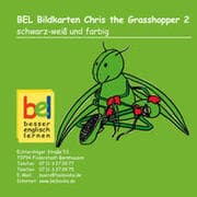Cover von Learning English with Chris the Grasshopper - Bildkarten CD2