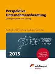 Cover von Perspektive Unternehmensberatung 2013