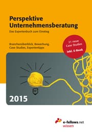 Cover von Perspektive Unternehmensberatung 2015