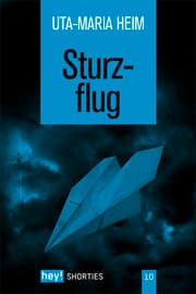 Cover von Sturzflug