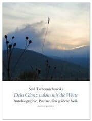 Cover von Dein Glanz nahm mir die Worte