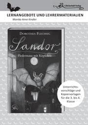 Cover von Dorothea Flechsig: Sandor - Fledermaus mit Köpfchen LERNANGEBOTE UND LEHRERMATERIALIEN. Unterrichtsvorschläge und Kopiervorlagen für die 3. und 4. Klasse.