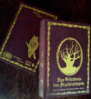 Cover von Im Schatten der Hexen 8 - Das Geheimnis des Drachentempels
