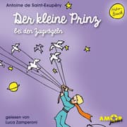 Cover von Der kleine Prinz bei den Zugvögeln