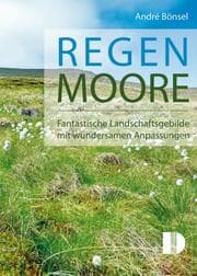 Cover von Regenmoore