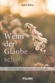 Cover von Wenn der Glaube schwindet