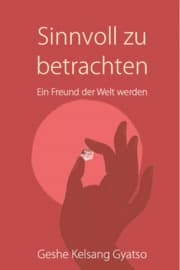Cover von Sinnvoll zu betrachten