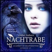 Cover von Nachtrabe, Episode 13 - Fantasy-Serie
