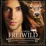 Cover von Freiwild, Episode 16 - Fantasy-Serie