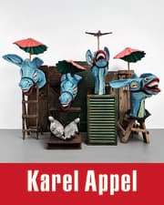 Cover von Karel Appel