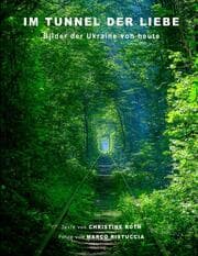 Cover von Im Tunnel der Liebe