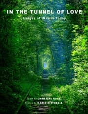 Cover von In the Tunnel of Love