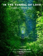 Cover von In the Tunnel of Love