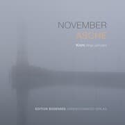 Cover von November Asche