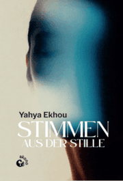 Cover von Stimmen aus der Stille