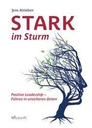 Cover von Stark im Sturm