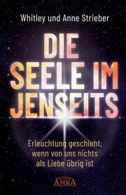 Cover von Die Seele im Jenseits. Erleuchtung geschieht, wenn von uns nichts als Liebe übrig ist