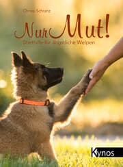Cover von Nur Mut!
