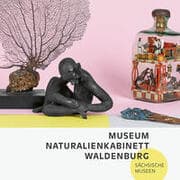 Cover von Museum Naturalienkabinett Waldenburg