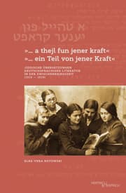 Cover von a thejl fun jener kraft ein Teil von jener Kraft