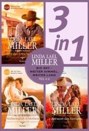 Cover von Big Sky - weiter Himmel, weites Land - Teil 4-6